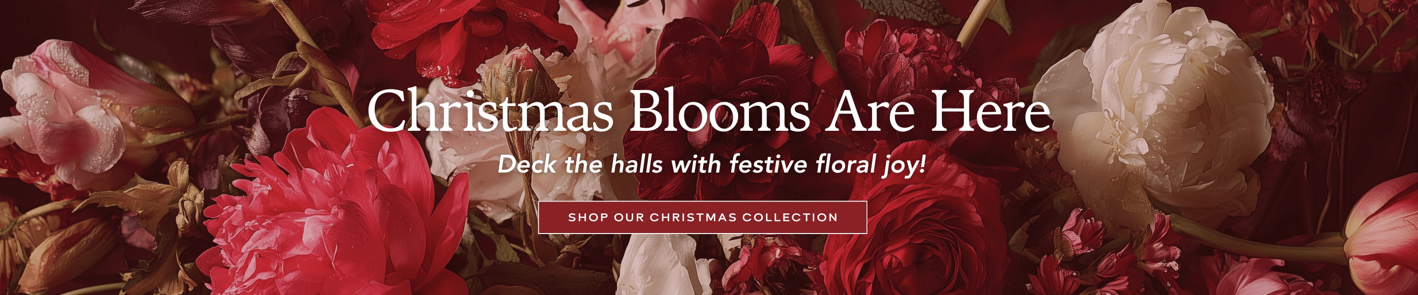 Christmas blooms are here. Deck the halls with festive floral joy! Click here to shop Christmas Flowers.