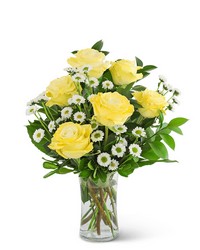 Yellow Roses with Daisies in Savannah, MO and St. Joseph, MO