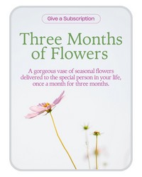 Bouquet of the Month Club (3) in Savannah, MO and St. Joseph, MO