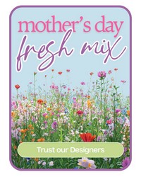 Designer's Choice Mother's Day Arrangement
