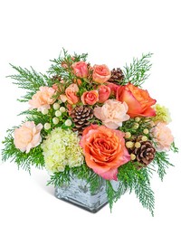 Peachy Woodland in Savannah, MO and St. Joseph, MO