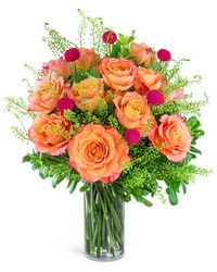 One Dozen Wild and Free Spirit Roses in Savannah, MO and St. Joseph, MO