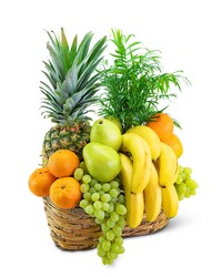 Green Goodness Fruit & Plant Basket in Savannah, MO and St. Joseph, MO