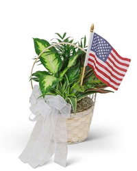 Patriotic Planter in Savannah, MO and St. Joseph, MO