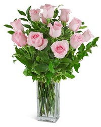 One Dozen Light Pink Roses in Savannah, MO and St. Joseph, MO