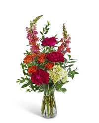 Sorrento Sweetheart in Savannah, MO and St. Joseph, MO