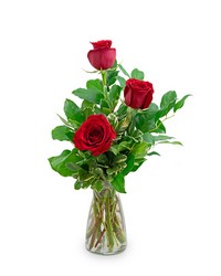Red Roses (3) in Savannah, MO and St. Joseph, MO