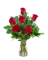 Red Roses (6) in Savannah, MO and St. Joseph, MO