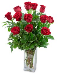 Classic Dozen Red Roses in Savannah, MO and St. Joseph, MO