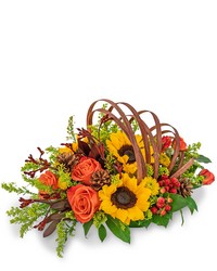 Creative Cornucopia in Savannah, MO and St. Joseph, MO