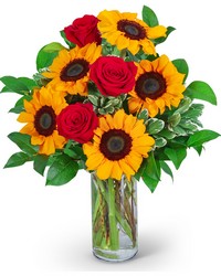 Rosy Sunflowers in Savannah, MO and St. Joseph, MO