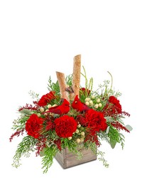 Woodland Cardinal Cheer in Savannah, MO and St. Joseph, MO
