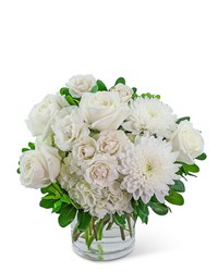 Vogue Elegance in Savannah, MO and St. Joseph, MO