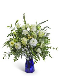 Sapphire Snow in Savannah, MO and St. Joseph, MO